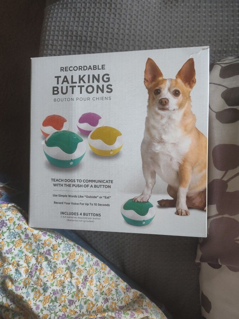 Recordable Talking Buttons 