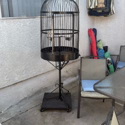 Bird Cage