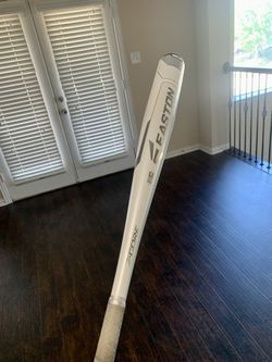 Easton Beast “Whiteout” Baseball Bat