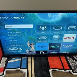 Insignia 29” Flat Screen – Works Great, Affordable!