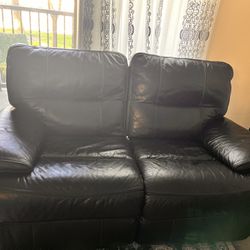 Electric Leather Couches 