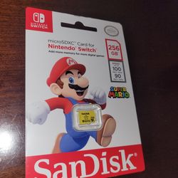 Nintendo Switch Mirco SDXC
