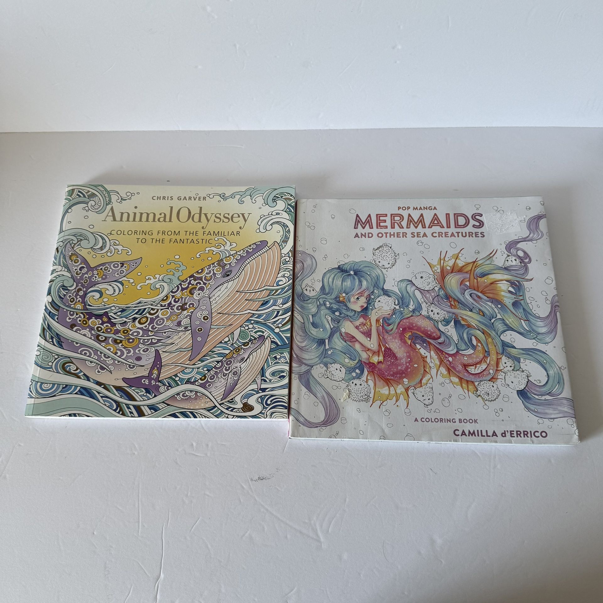 2 Coloring Books