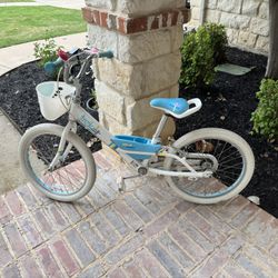 Trek 20 Inch Bike