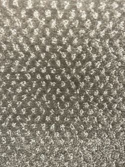 Carpet 234sqft