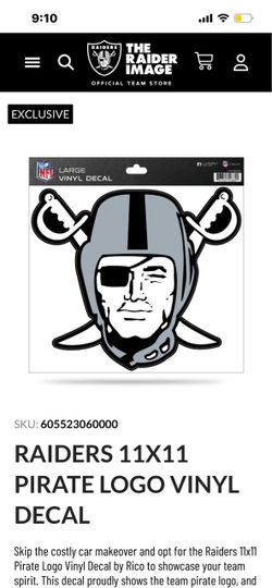 Brand New NFL PENNANT