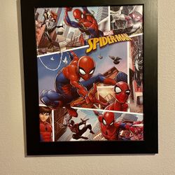 Spider-Man Picture 