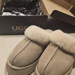 Uggs Less Than 6 Months Old