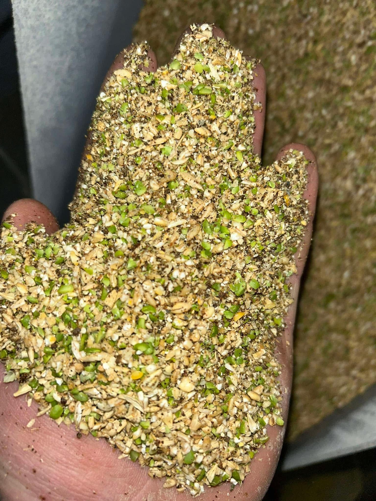 Non-GMO Corn&Soy Free Livestock & Poultry Feed