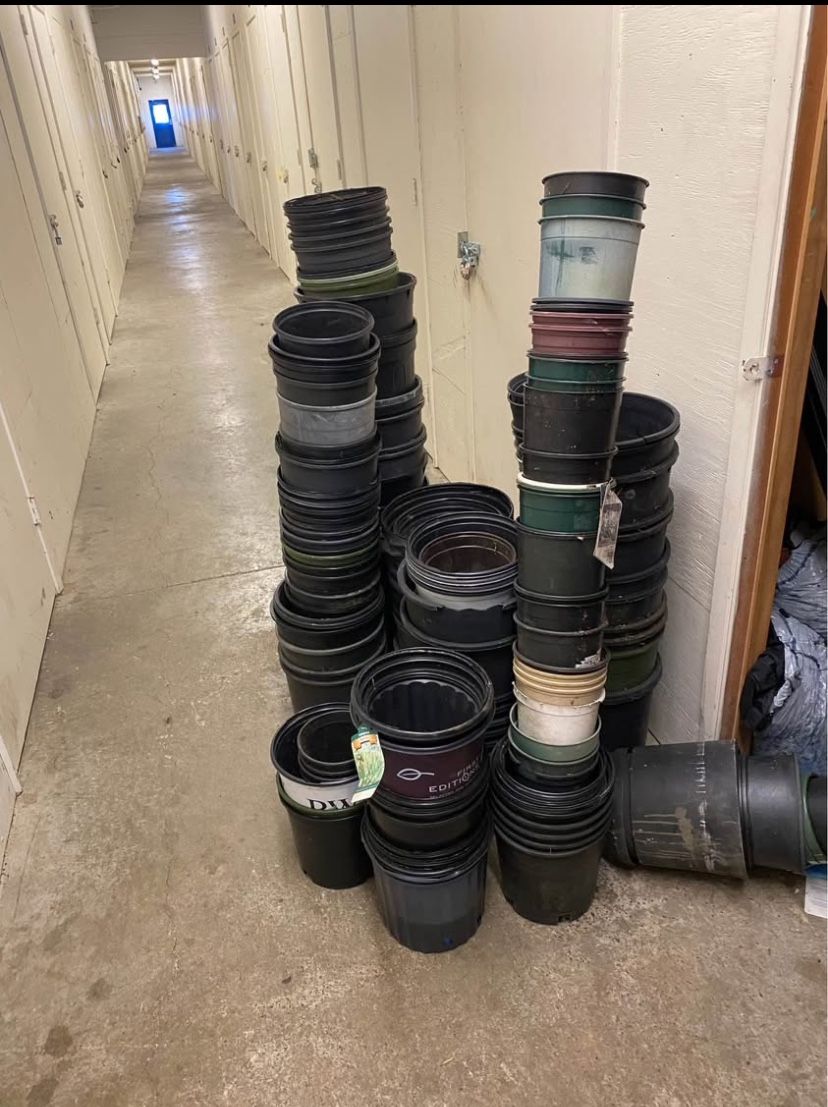 80 One-Gallon Pots – $40 for All