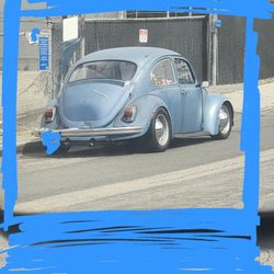 69 Vw Bug