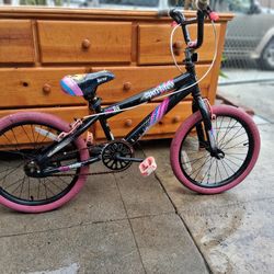 Todd call louis bike