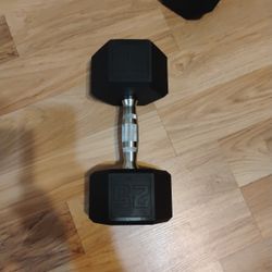 25lbs Weights 