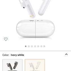 Al Translator Earbuds 