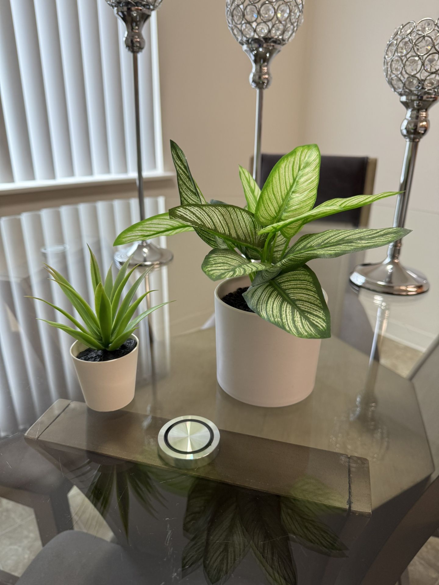 Fake Plants