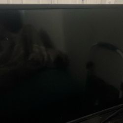 Sceptre 32 In TV Built In DVD Player
