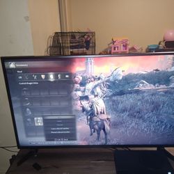 TV 43 Inch