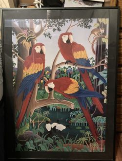 Raul del Rio hard to find framed macaw parrot print