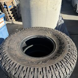 Patagonia Tires 40s