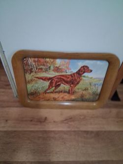 Vintage  - IRISH SETTER FOOD TRAY