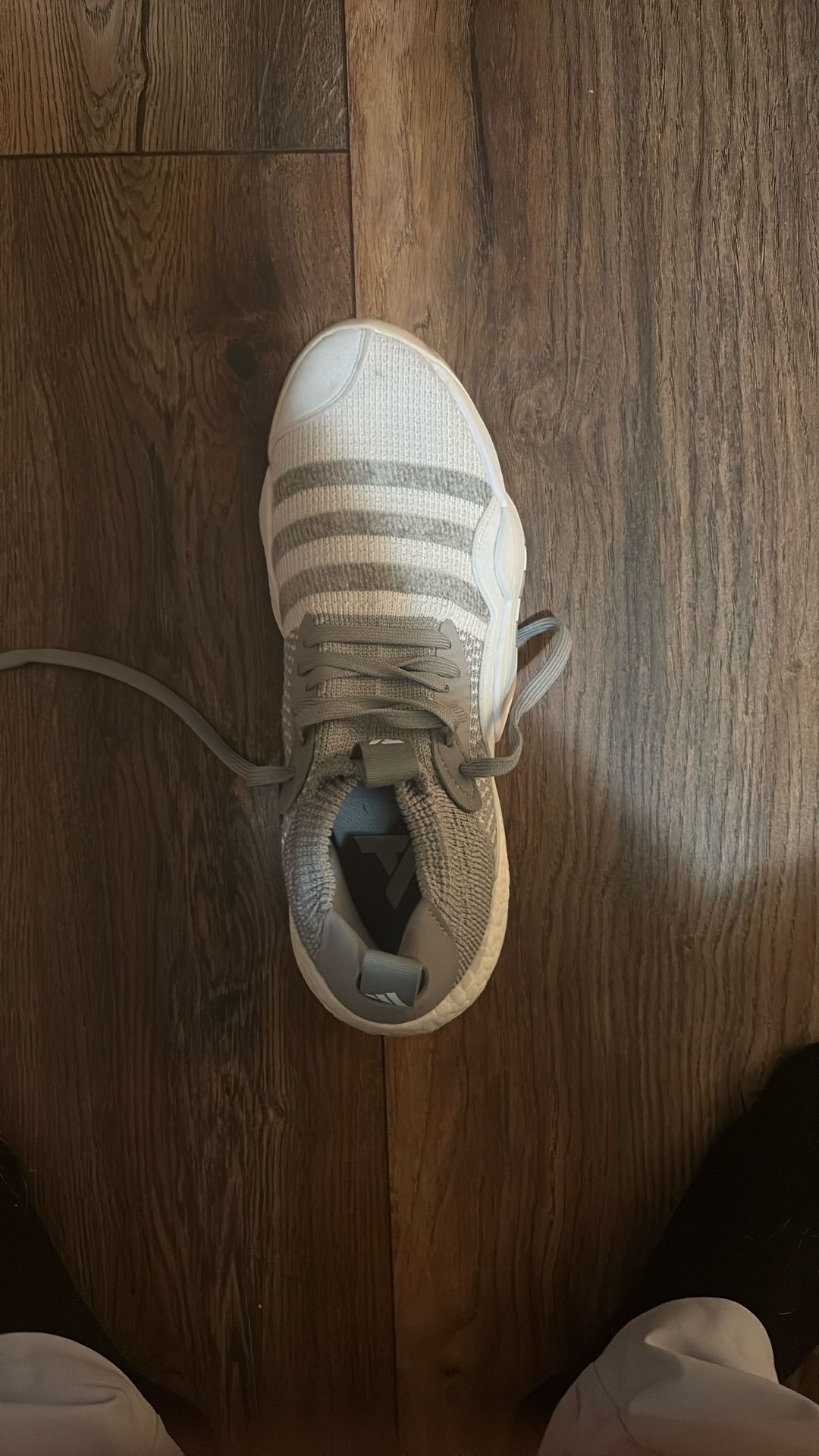 Basketball Shoes Size 11 Trey Young 2.0