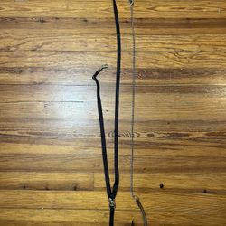 Dog Leashes