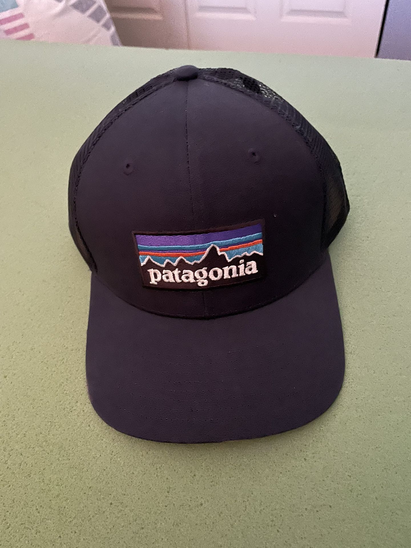 New Patagonia Hat Snap Back