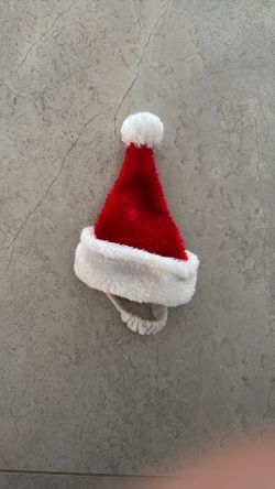 Small Dog Santa Claus Hat