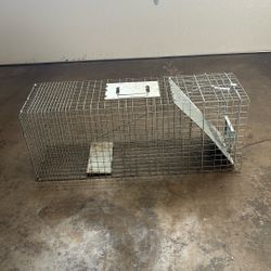 Havahart Large 1-Door Professional Live Animal Cage Trap for Raccoon, Opossum, Groundhog, and Feral Cat