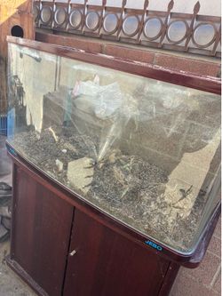 Fish tank