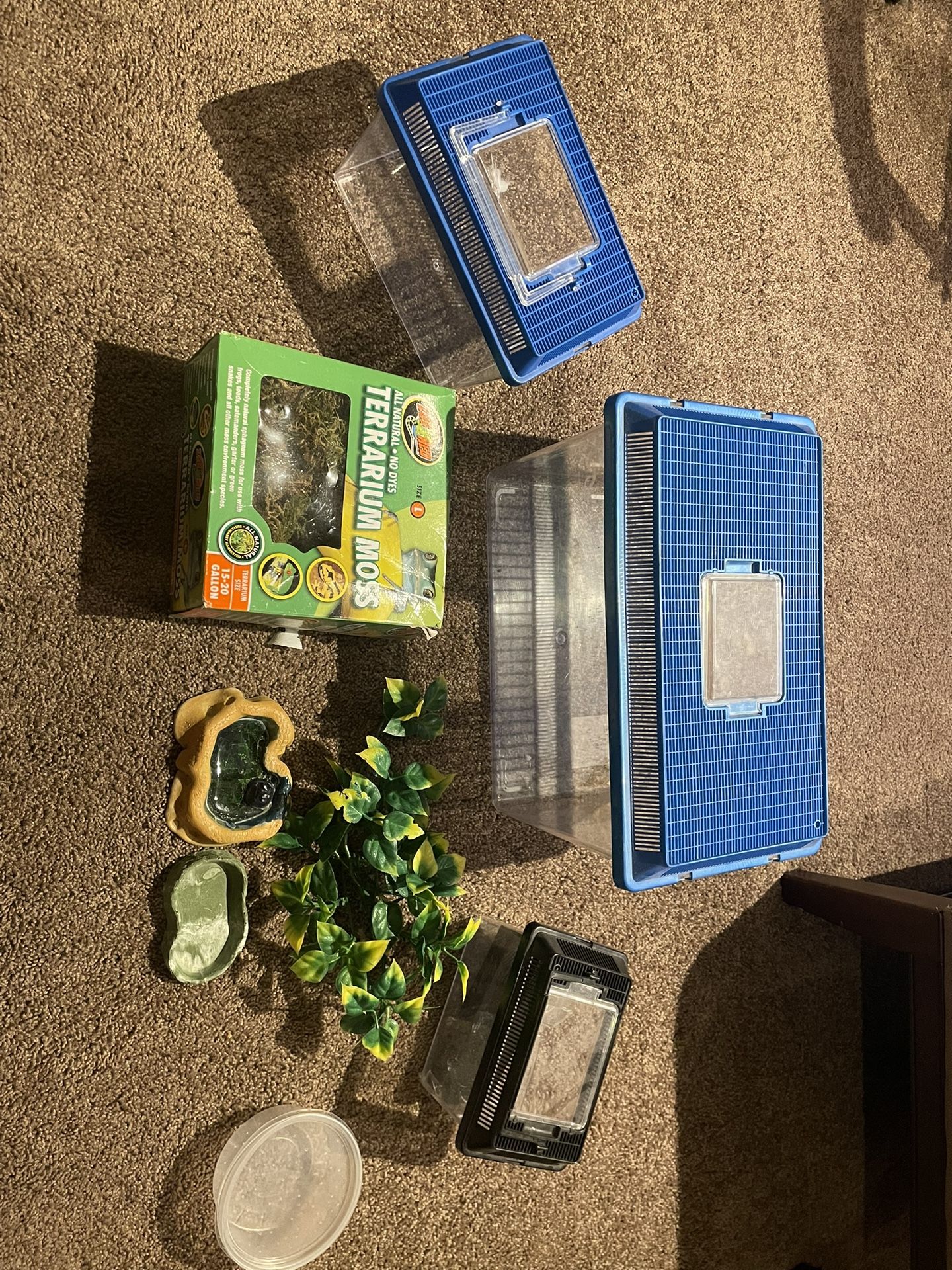 Plastic Terrariums