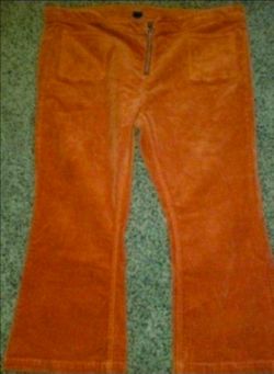 Wild fable pants