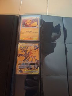 Pokemon cards