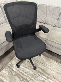 Ergonomic Office Chair
