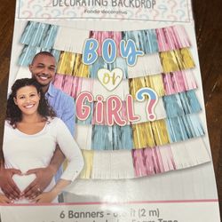 Boy or Girl  Decorating Backdrop