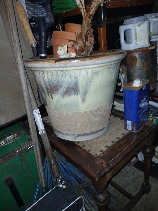 Plants Pots And Accessories