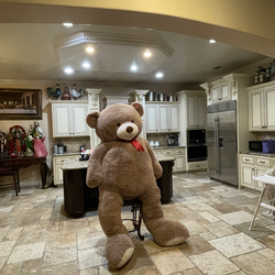 Bear (give me an offer)