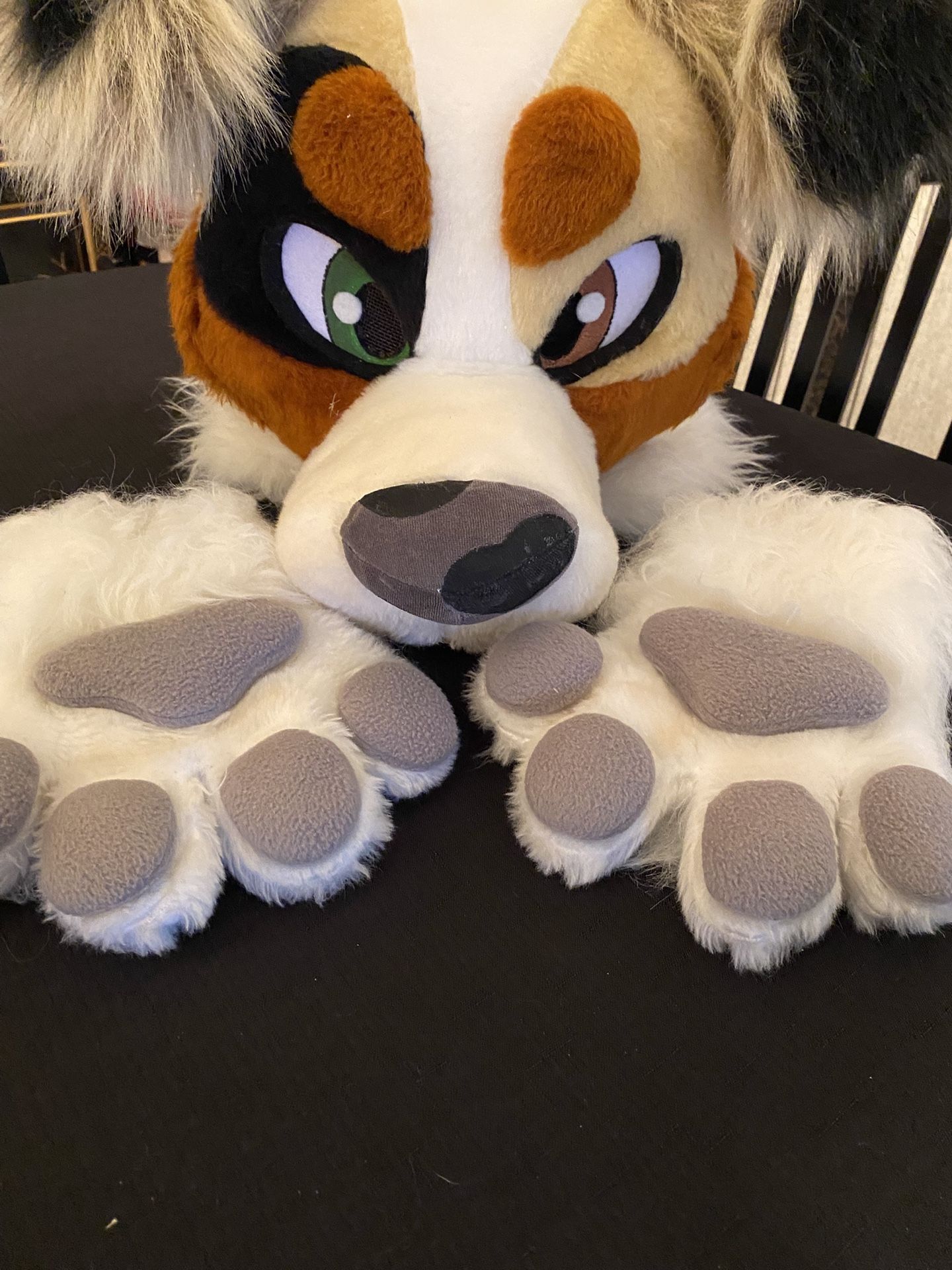 Furry Mascot Head And Paws