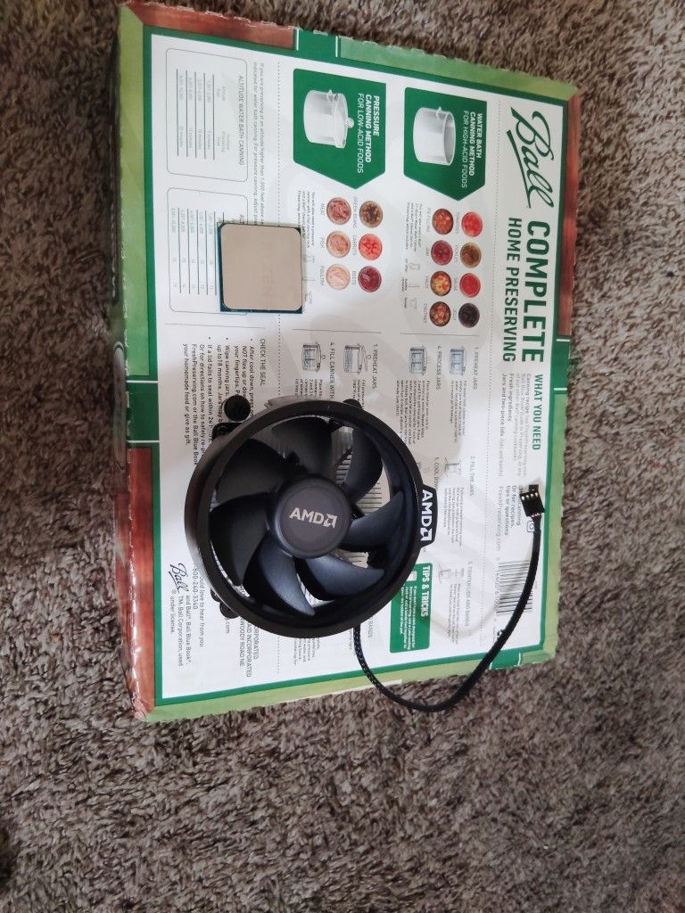 AMD Ryzen 5 5500