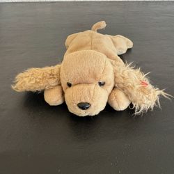 TY Beanie Baby Dog Cocker Spaniel Named Spunky Missing Tag 