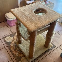 Cat Tower 