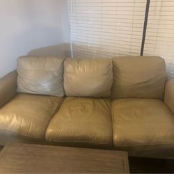Leather couches