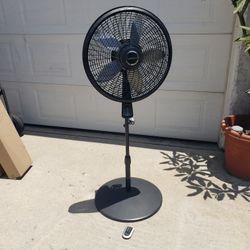 Fan With Remote Control 