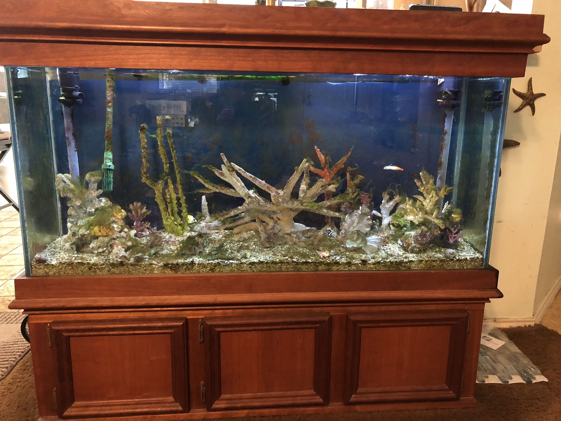 Aquarium 55+ Show Tank with Cabinet