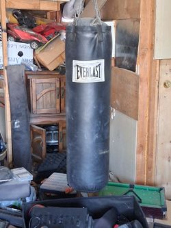 Profesdional Everlast Punching Bag (80 Lbs.)