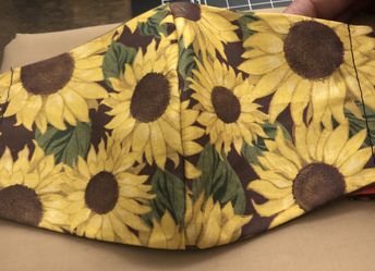 Sunflower 🌻