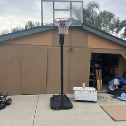 Lifetime Basketball Hoop 10 Feet