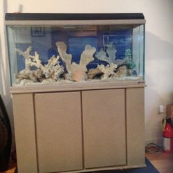 Grey 50  Gallon Salt Water Aquarian Tank With Cabinet Stand