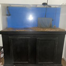 55 gallon fish tank aquarium 