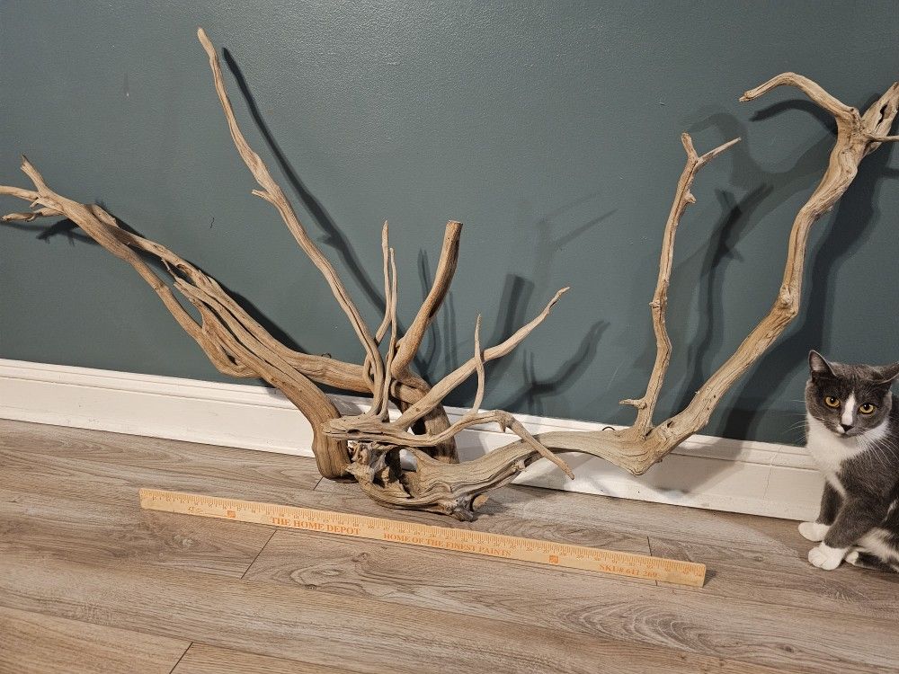 Beautiful Driftwood Artpiece